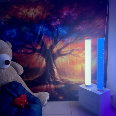 Chris Basilio Espace Muti Sensoriel